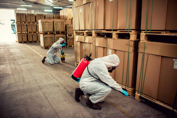Best Bed Bug Extermination  in Taos, MO