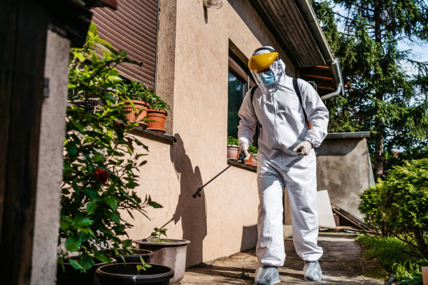 Best Pest Inspection Near Me  in Taos, MO
