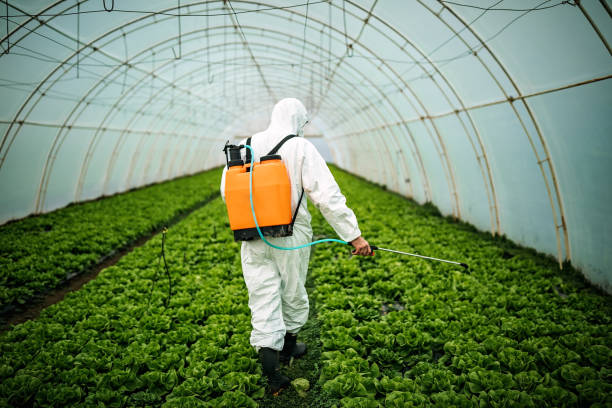 Best Affordable Pest Control Services  in Taos, MO