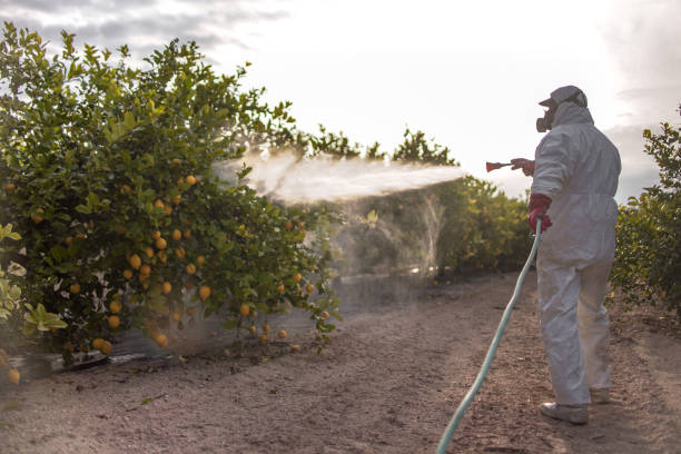 Best Best Pest Control Companies  in Taos, MO