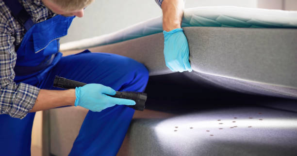 Best Best Pest Control Companies  in Taos, MO