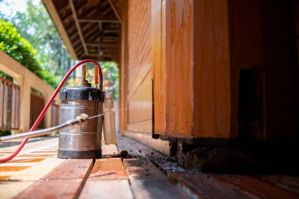 Best Ant Control Services  in Taos, MO