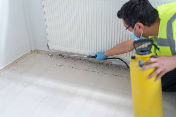 Reliable Taos, MO Pest Control Solutions